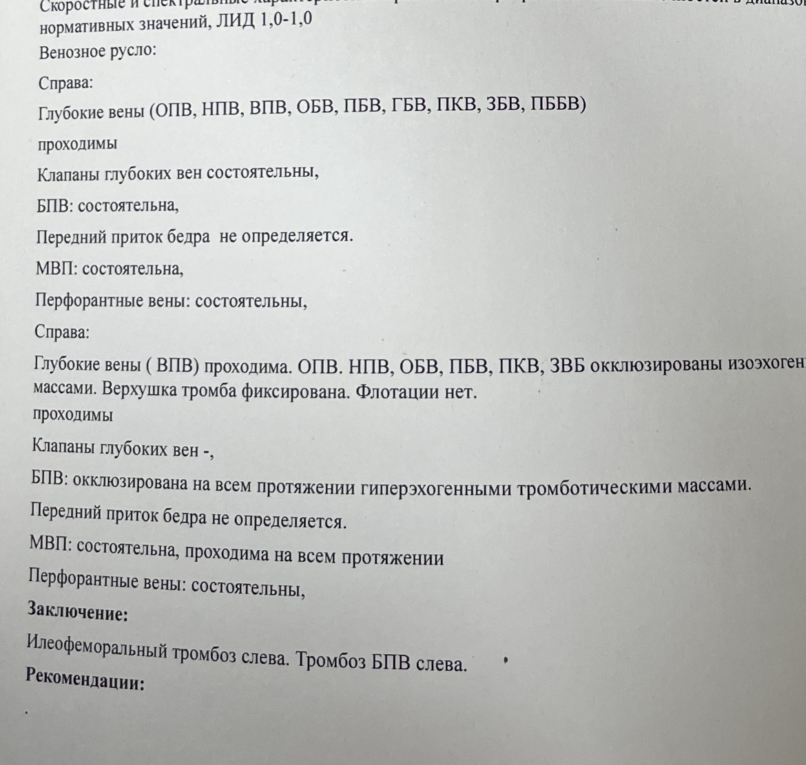 IMG_8186.jpeg
